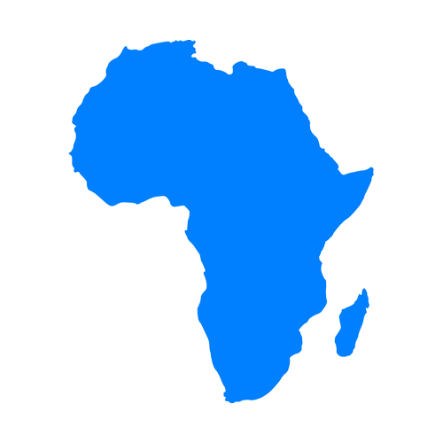 Africa World Health Summit